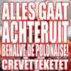 Alles Gaat Achteruit (Behalve De Polonaise) - Single