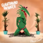 Guantanamo Baywatch - Barbacoa