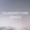 !!!" Thunderstorm Jungle "!!! album lyrics, reviews, download