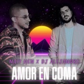 Amor En Coma (feat. Nati Hen) artwork