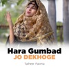 Hara Gumbad Jo Dekhoge - Single