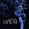Opium (feat. Brian Hughes & Caroline Lavelle) - Secret Sky lyrics