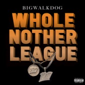 Whole Nother League artwork