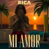 Mi Amor - Single