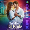 Tu Mile Dil Khile (Club Mix) - Single