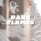 Dark Flames (Dabi) (feat. Darrnell Bradley) - Austin Simmon & Straw Hat Boys lyrics