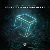 Sound Of A Beating Heart artwork