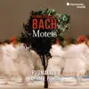 Johann Sebastian Bach: Motets album lyrics, reviews, download