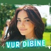 Vur Dibine - Single