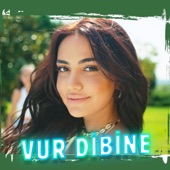 Vur Dibine artwork