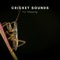 Virtual Crickets - Natural Sounds Selections, Zen Sounds & Nature Sound Collection lyrics