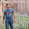 Brandon Davis - Life's Too Short artwork