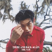 There And Back Again artwork