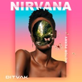 Nirvana (feat. Victor Perry) artwork