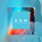 Edm Festival Anthem 02 cover