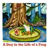 A Day in the Life of a Frog