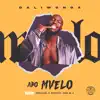 Abo Mvelo (feat. Mellow & Sleazy & M.J) - Single album lyrics, reviews, download