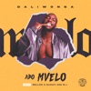 Abo Mvelo (feat. Mellow & Sleazy & M.J) - Single