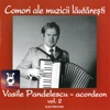 Vasile Pandelescu - acordeon, Vol. 2
