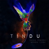 Tindu (Minuk Rework) artwork