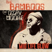 Midlife Glow (feat. Ozay Moore) artwork