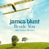 Beside You (Alle Farben Remix) - Single