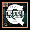 The Storm Is Coming song lyrics