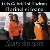 Floare din Spini - Single