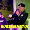 Subsemnatul - Single