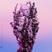 Inspirations (The Remixes) artwork