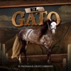 El Gato - Single