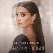 Çanakkale İçinde artwork