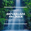 1 Hora de Naturaleza Pacífica - La Mejor Música Relajante con Sonidos Reales de la Naturaleza