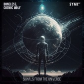 Signals From the Universe artwork