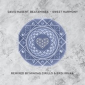 Sweet Harmony (Erdi Irmak Remix) artwork