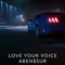 Love Your Voice artwork