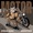 Steve Aoki x Quintino - Motor | Dj Thommy