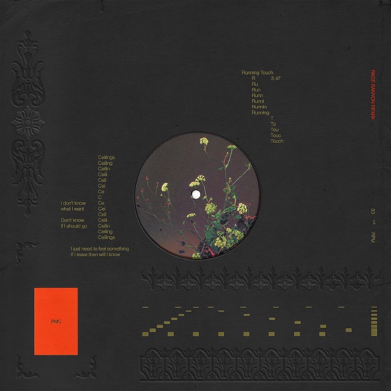 Cover artwork for Ceilings