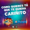 Como Quieres Tu Que Te Quiera Cariñito (feat. Grupo Magayin) - Single