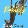 Rabbits - Single