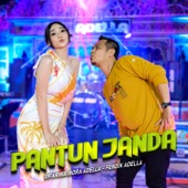 Pantun Janda (feat. Fendik Adella) artwork
