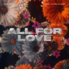 All For Love (feat. Sandro Cavazza) - Felix Jaehn