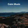 Calm Music album lyrics, reviews, download