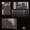 Wonderful - Single