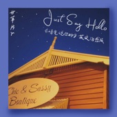 Just Say Hello (甘草片版) artwork