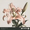 Bloom - Single, 2023
