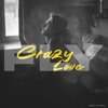 Crazy Love - Single