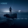 Calling For You - Single