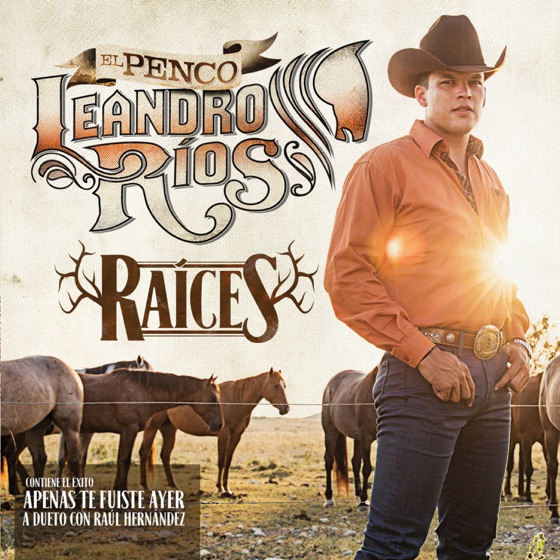 Cover artwork for Debajo del Sombrero (feat. Pancho Uresti)