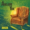 Anlamı Yok - Single